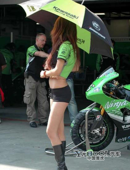 收入证明_车模收入