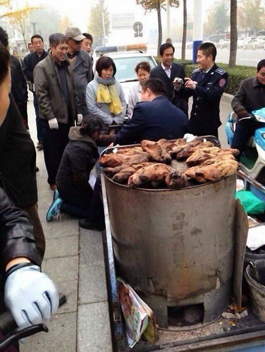 衣衣拍<em>照片</em>_<em>如何翻拍照片</em>_2014日本街拍照片