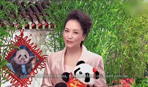 组图:彭丽媛录视频祝贺美动物园<em>熊猫出生</em>百天