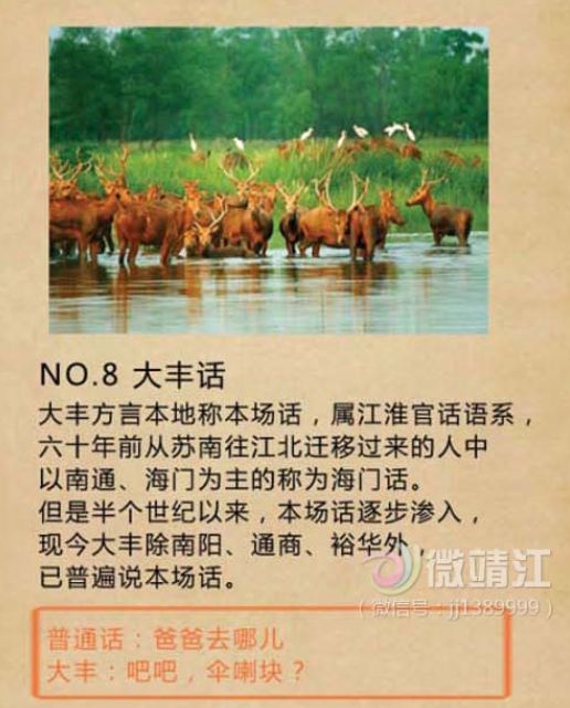 组图:全国最难懂十大方言引热议 方言版爸爸去