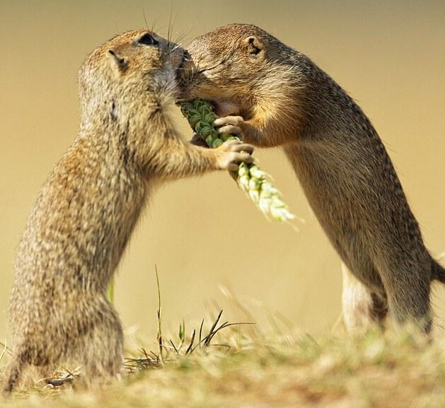 组图:产妇产下12.9斤巨婴惊呆妇产科主任 盘点