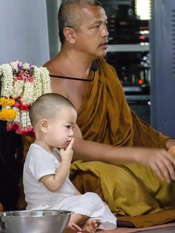 泰国超萌小和尚 三个月大即被送去寺庙