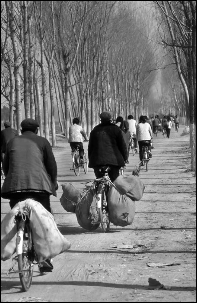 黑白记忆中的80年代 女性由保守走向开放(组图)