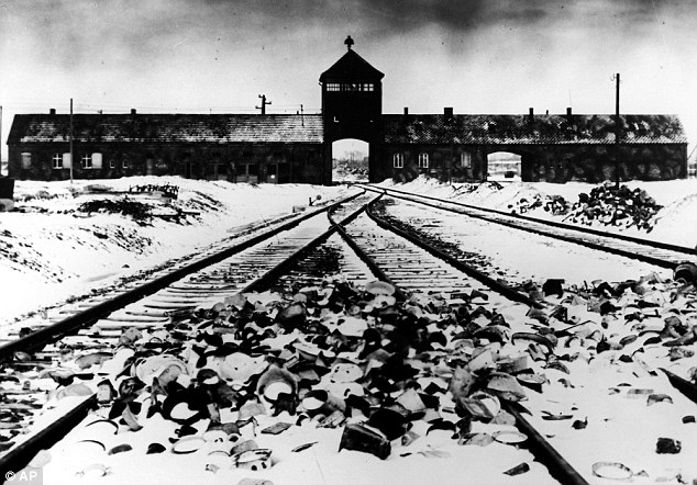 集中营的达拉图片